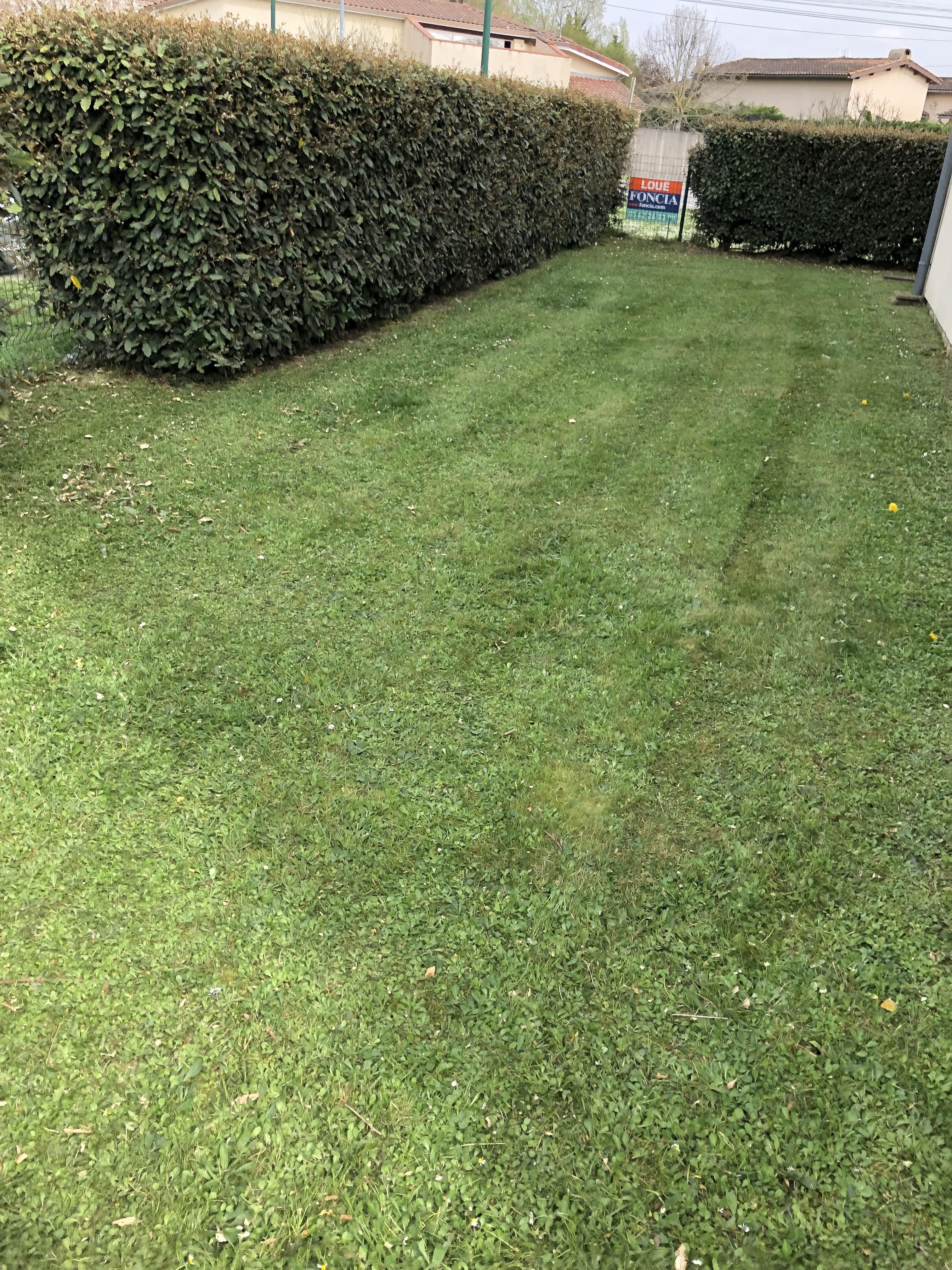 Tonte de pelouse professionnelle